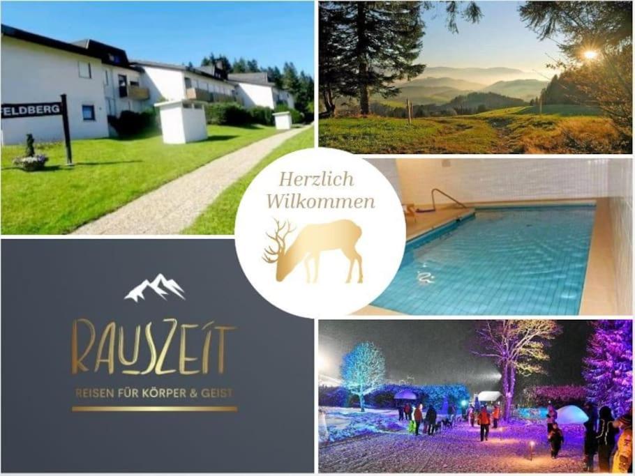 Urlaub Auf 1.000 Meter Hoehe Mit Pool Und Sauna Schönwalde エクステリア 写真