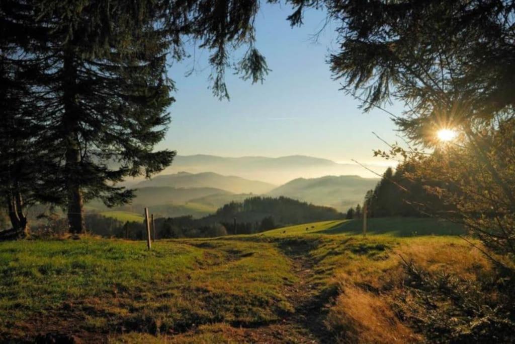 Urlaub Auf 1.000 Meter Hoehe Mit Pool Und Sauna Schönwalde エクステリア 写真