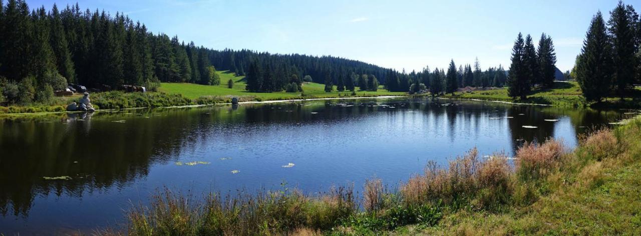 Urlaub Auf 1.000 Meter Hoehe Mit Pool Und Sauna Schönwalde エクステリア 写真