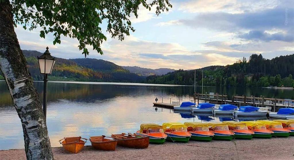 Urlaub Auf 1.000 Meter Hoehe Mit Pool Und Sauna Schönwalde エクステリア 写真