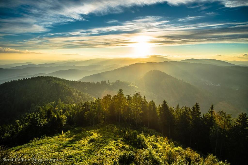 Urlaub Auf 1.000 Meter Hoehe Mit Pool Und Sauna Schönwalde エクステリア 写真