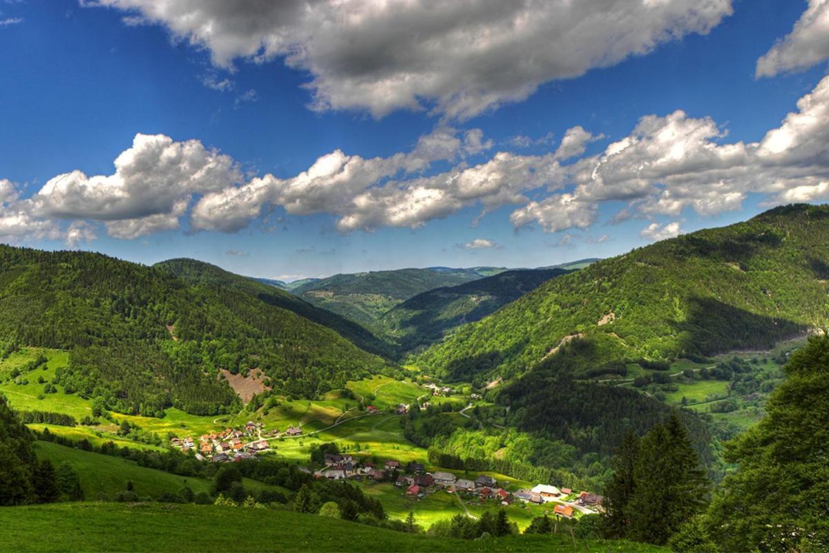 Urlaub Auf 1.000 Meter Hoehe Mit Pool Und Sauna Schönwalde エクステリア 写真